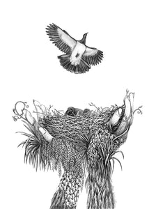 Drawn From The Heart series - Lianne's best graphite pencil drawings reproduced