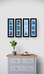 Framed Prints