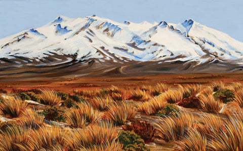 Mt Ruapehu - Desert Road