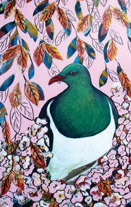 Kereru in Cherry Blossom