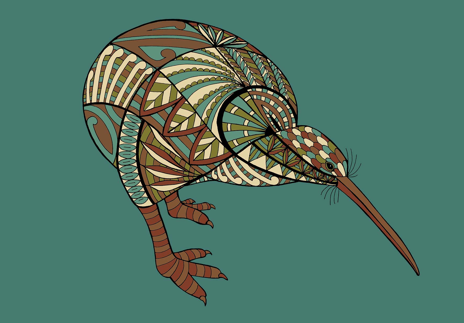 Kiwi bird