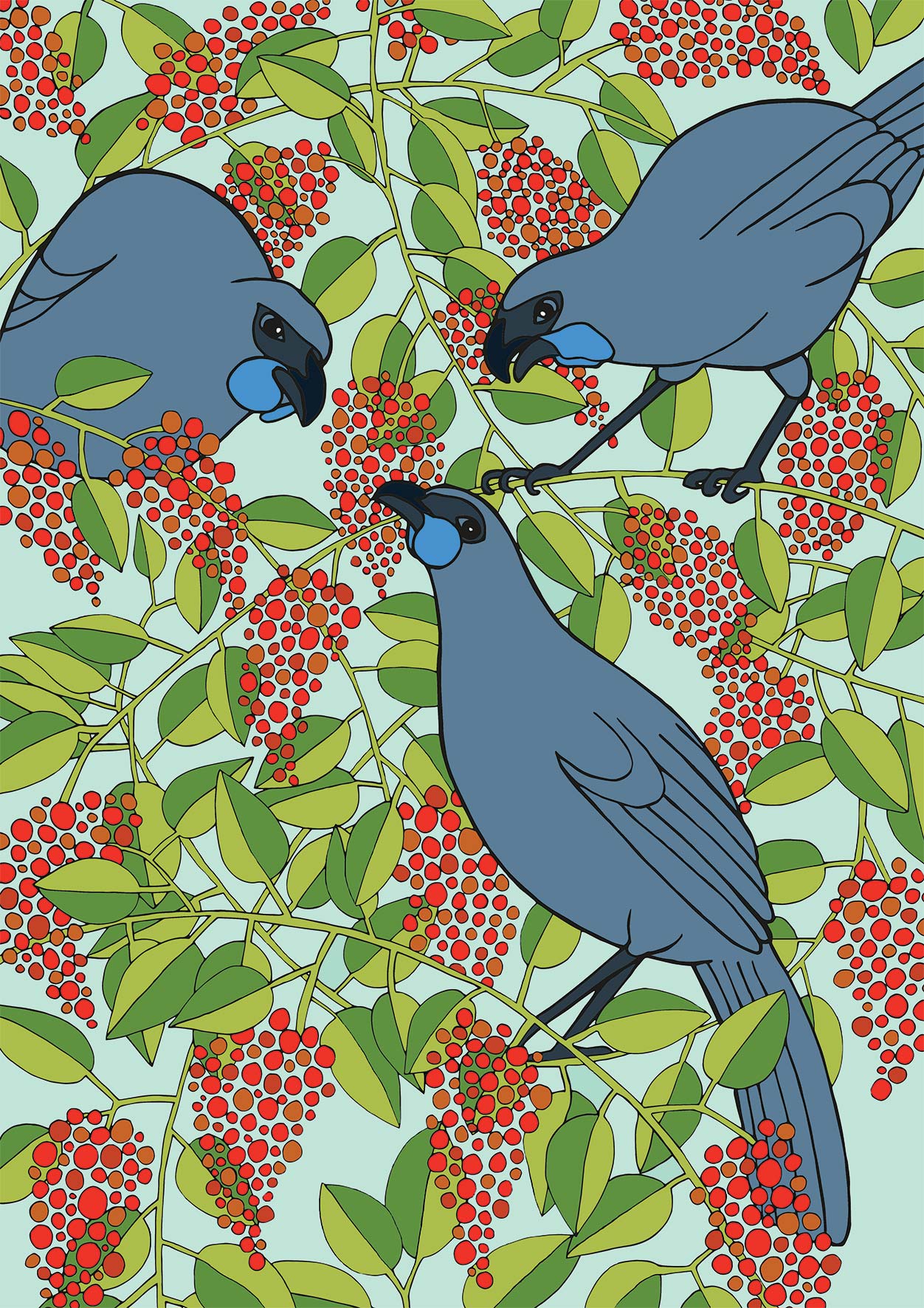 Kokako