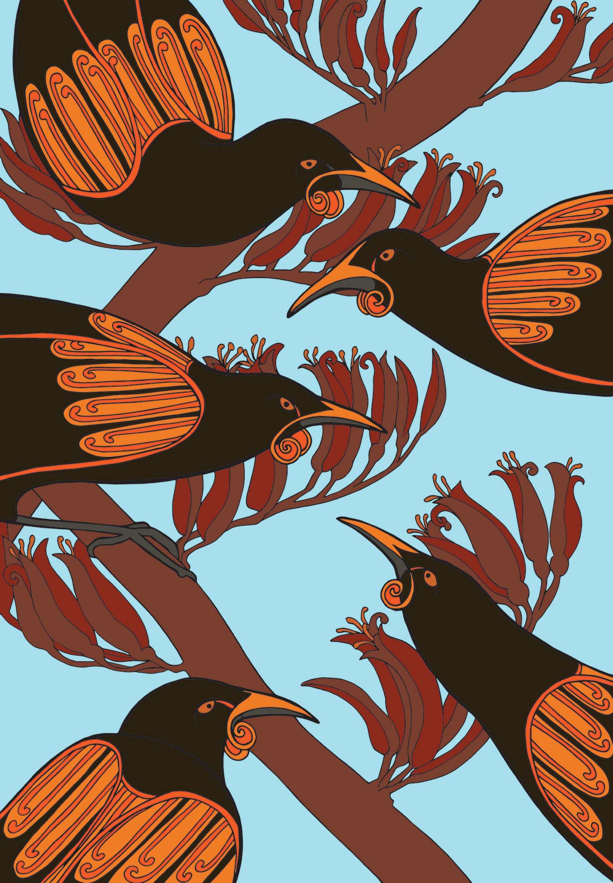 Tieke - Saddleback