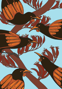 Tieke - Saddleback