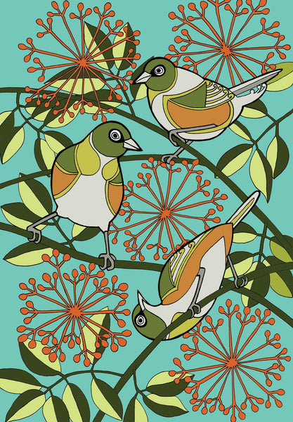 Waxeye - Tauhou