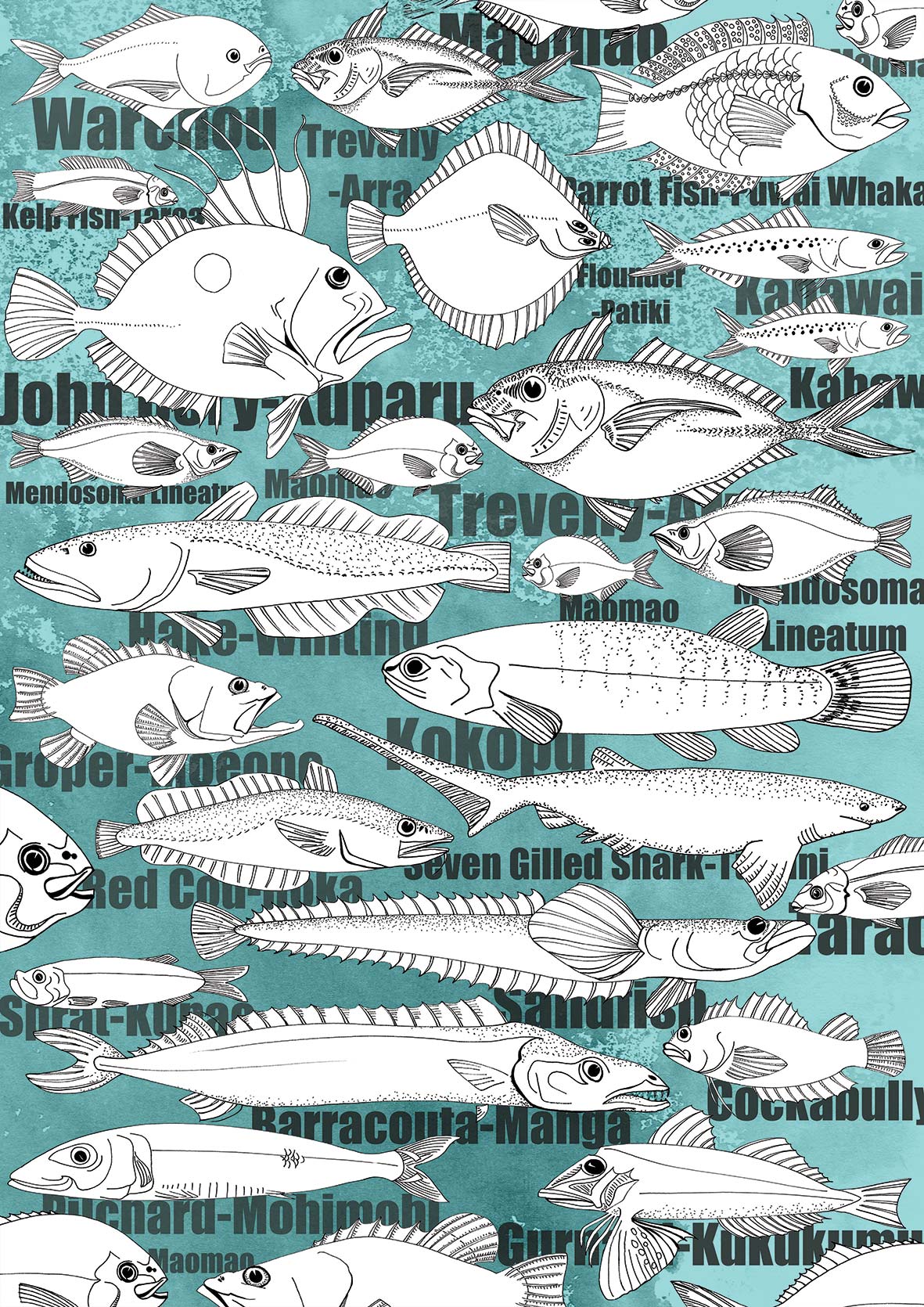 NZ Fish
