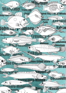 NZ Fish