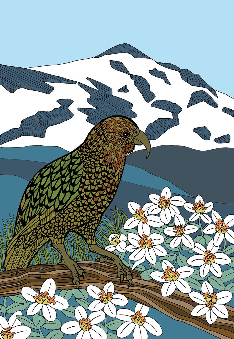 Alpine Kea