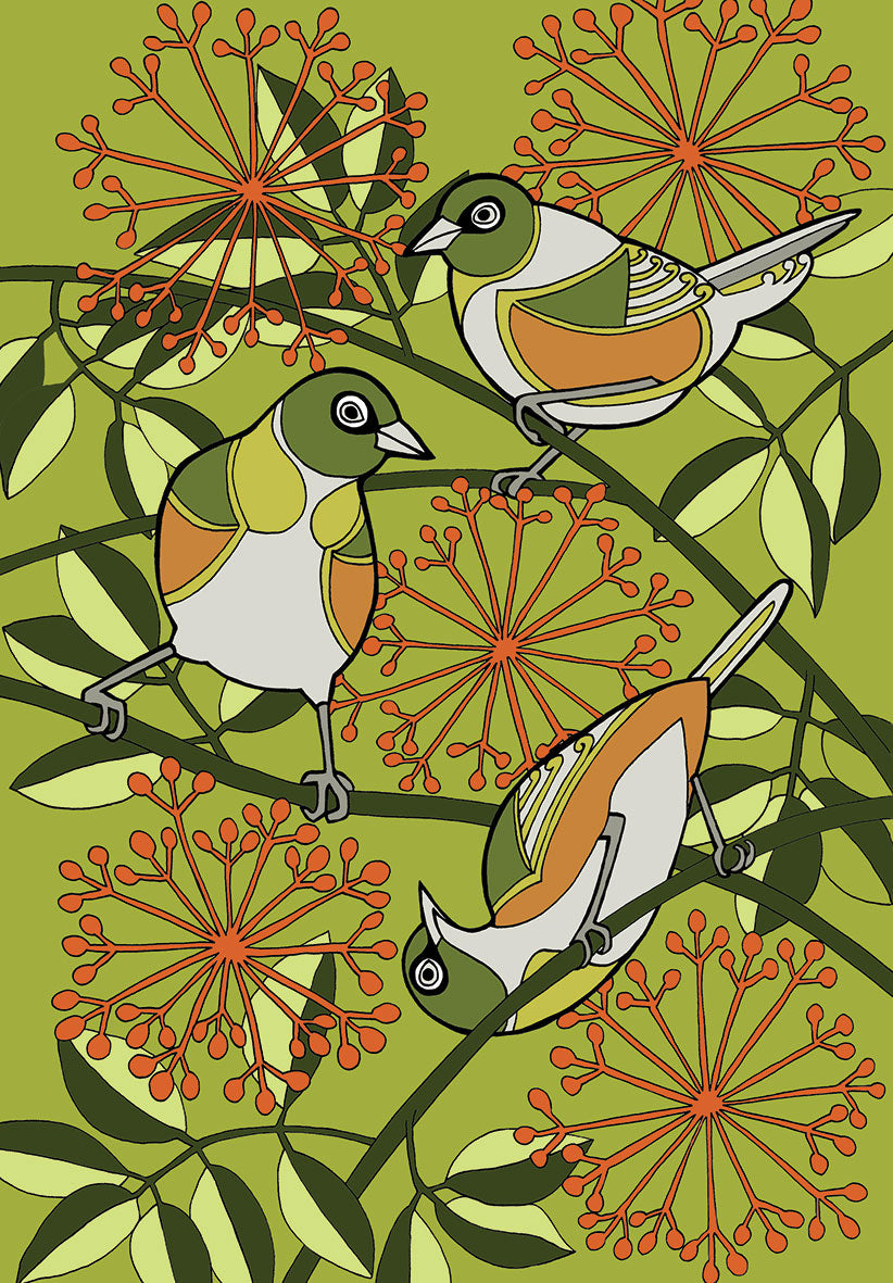 Waxeye - Tauhou