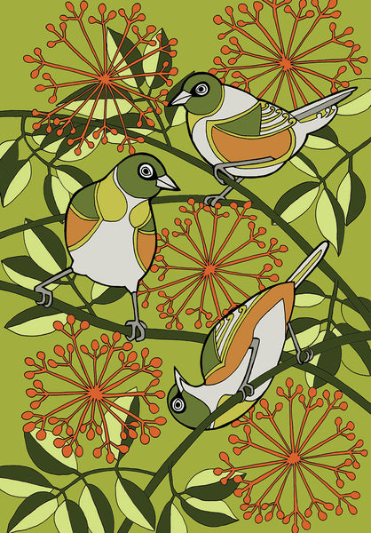 Waxeye - Tauhou