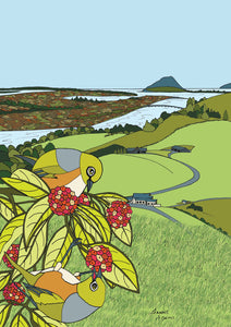 Tiki Tour - Waxeyes at Ohauiti, Tauranga