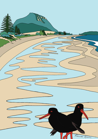 Tiki Tour - Oyster Catchers at Mt Maunganui